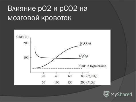 ЦДК и его влияние на кровоток