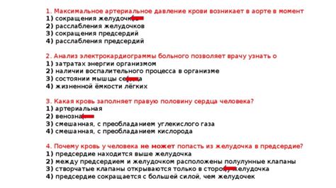 Цветочная кровь в сновидении: символы жизненной энергии и нового начала