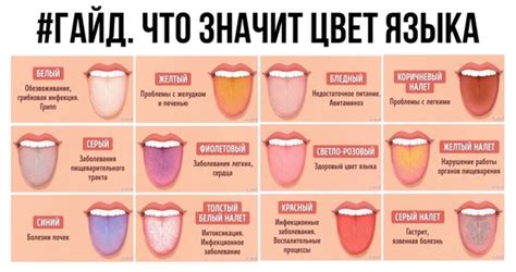 Цвет языка коричневый