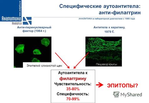 Циклические цитруллинированные пептиды (ЦЦП): значения и их значения в диагностике