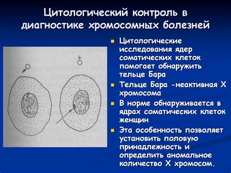 Цитологический контроль: суть и значение