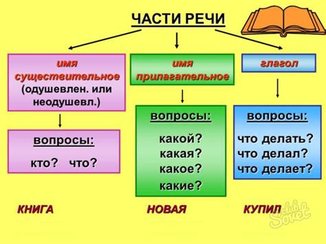 Части речи: суть и их различие