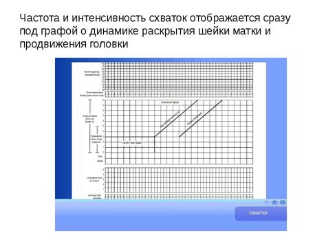 Частота и регулярность схваток