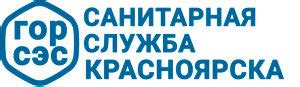 Чатланин: всё, что нужно знать