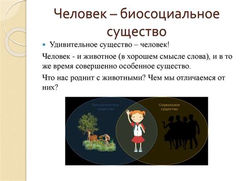 Человек как социальное существо: его роль в обществе и взаимодействие с другими людьми