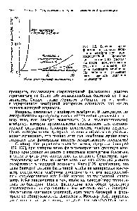 Чем опасно забивание пор и его последствия?