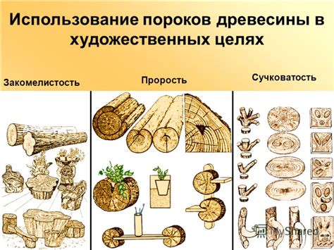 Четвертый раздел: Разнообразие и применение корнесобственных цитрусов