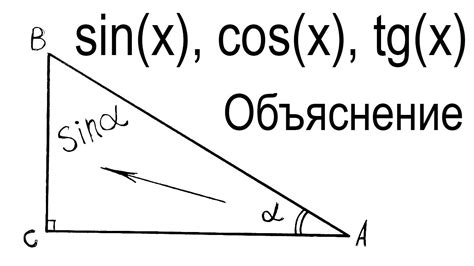 Четкие синусы: что это означает?