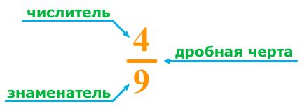 Числитель в математике: определение и примеры