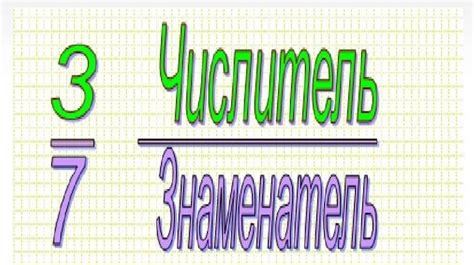 Числитель и знаменатель в дроби: взаимосвязь и их значения