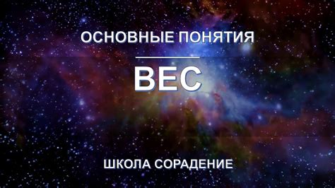 Чистый вес: основные понятия