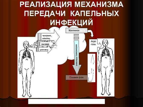 Чихание способствует очищению дыхательных путей