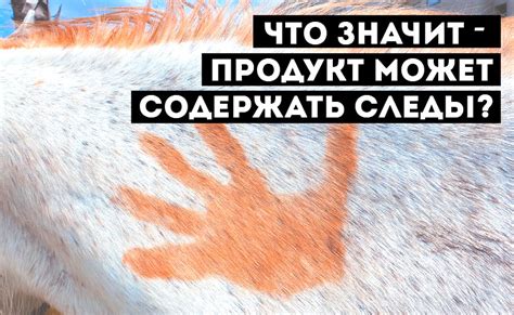 Что важно знать о предупреждении «может содержать следы орехов» на упаковке продуктов?