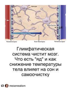 Что влияет на снижение температуры тела