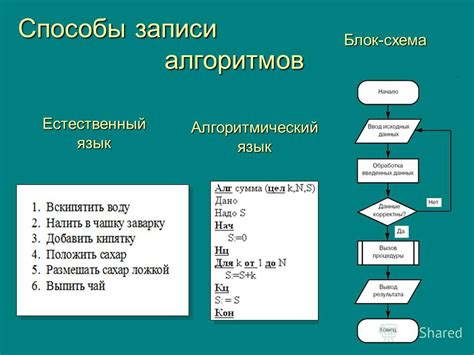 Что делать, если алгоритм зациклился: примеры и способы исправления