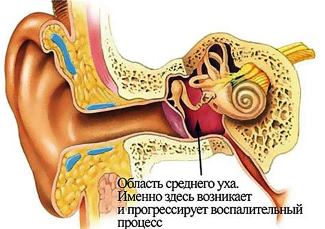 Что делать, если уши постоянно заложены