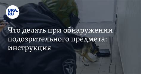 Что делать при обнаружении грибка на брусе