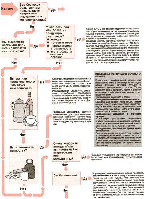 Что делать при частом мочеиспускании и повышенной температуре