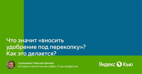 Что значит вносить неразбериху?