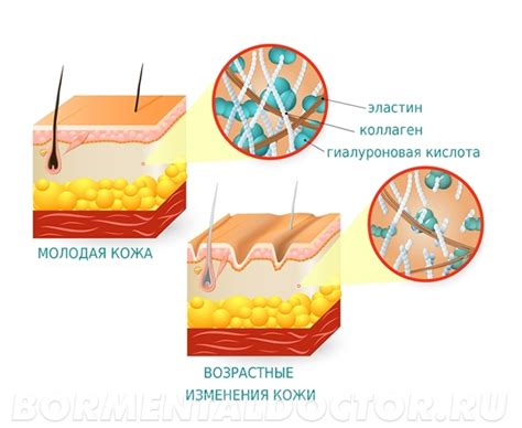 Что значит протонизация кожи и как она работает?