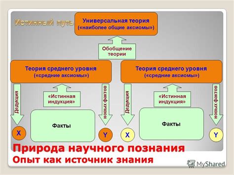 Что означает быть воспитанной леди: общие заблуждения и истинная природа