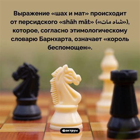 Что означает выражение "не гоже" и "негоже": объяснение понятия