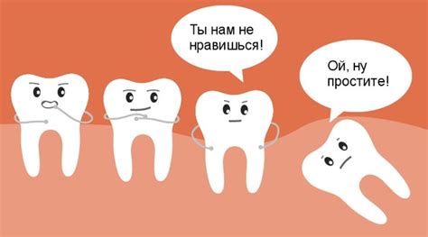 Что означает прорезывание нижней чапру?