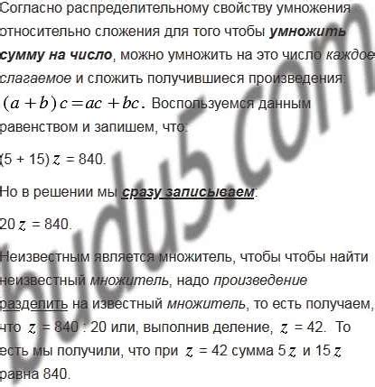 Что означает равенство корня и основы: определение и примеры