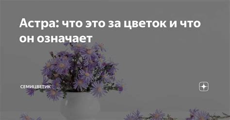 Что означает цветок с треугольником: символика и тайные значения