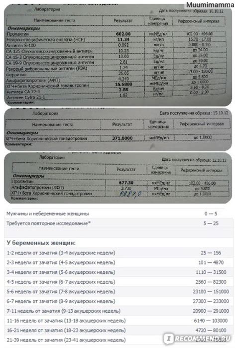 Что определяет небольшой прирост уровня ХГЧ?