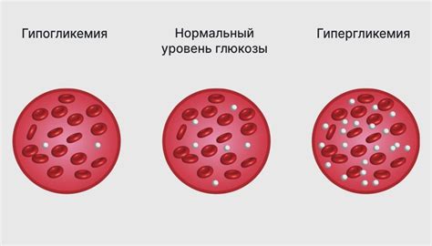 Что показывает глюкоза в крови у взрослого?