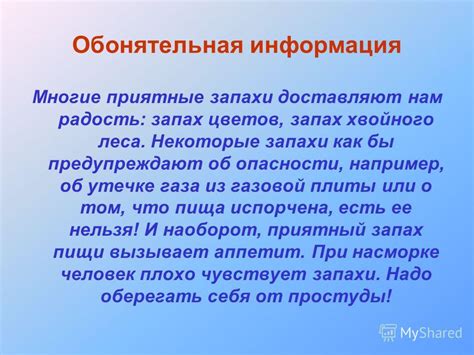 Что представляет собой обонятельная информация и какова ее роль в познании?