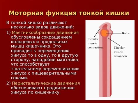 Что приводит к тонкой лодыжке?