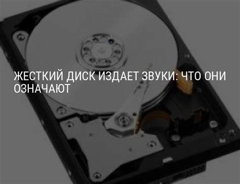 Что происходит, когда жесткий диск издает шумы: причины и методы устранения