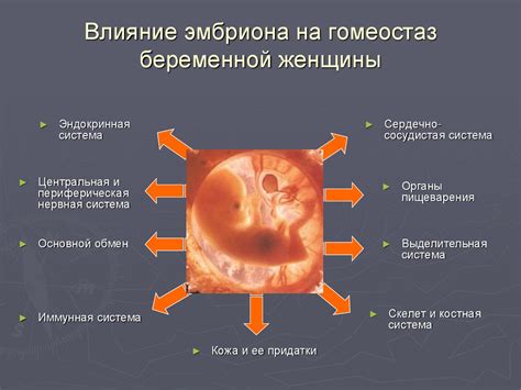 Что происходит в организме во время Реконвалесцентного периода