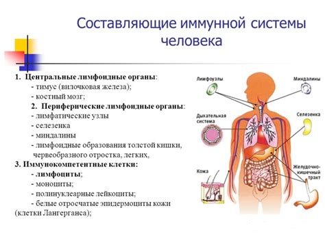 Что происходит при проникновении лекарства в организм?