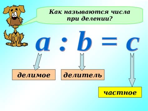 Что такое "делитель"