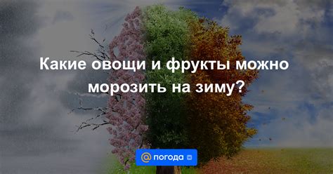 Что такое "морозить кого-то" и какие бывают причины