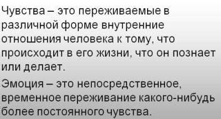 Что такое "питать чувства"?