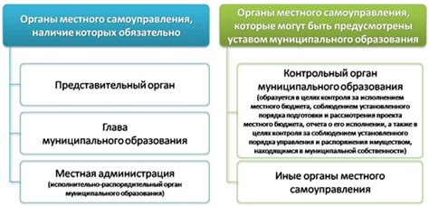 Что такое "только для местного применения"?