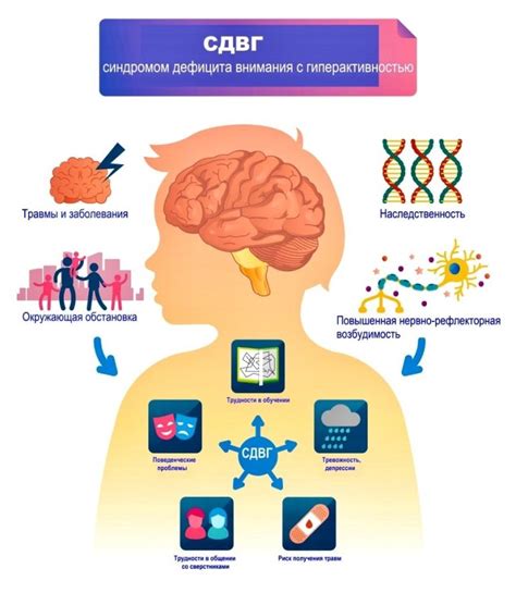 Что такое СДВГ: краткое описание