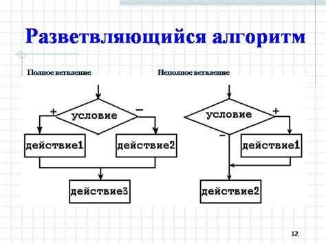 Что такое алгоритм и как он применяется?