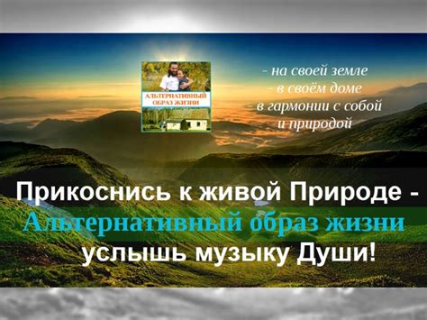 Что такое альтернативный образ жизни: базовые принципы и изменения поведения