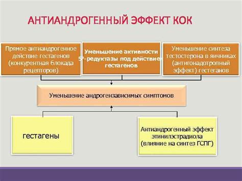 Что такое антиандрогенное действие?