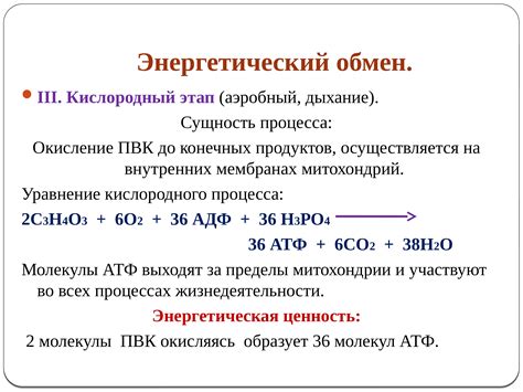 Что такое аэробный организм?