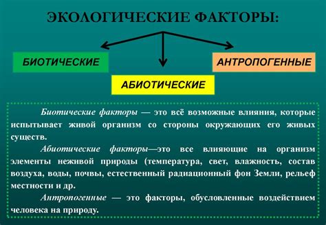 Что такое биотический экологический фактор и каково его значение в экосистеме?