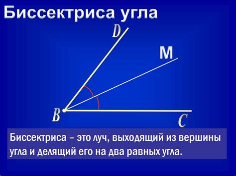 Что такое биссектриса угла