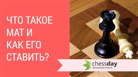 Что такое биш мат?