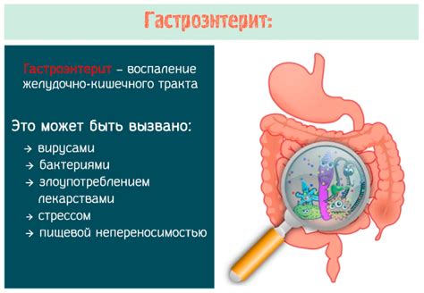 Что такое гастроэнтерит