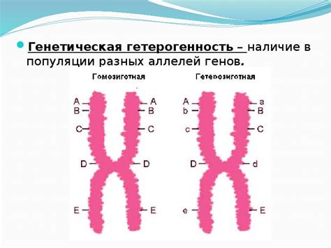 Что такое генетическая структура популяции